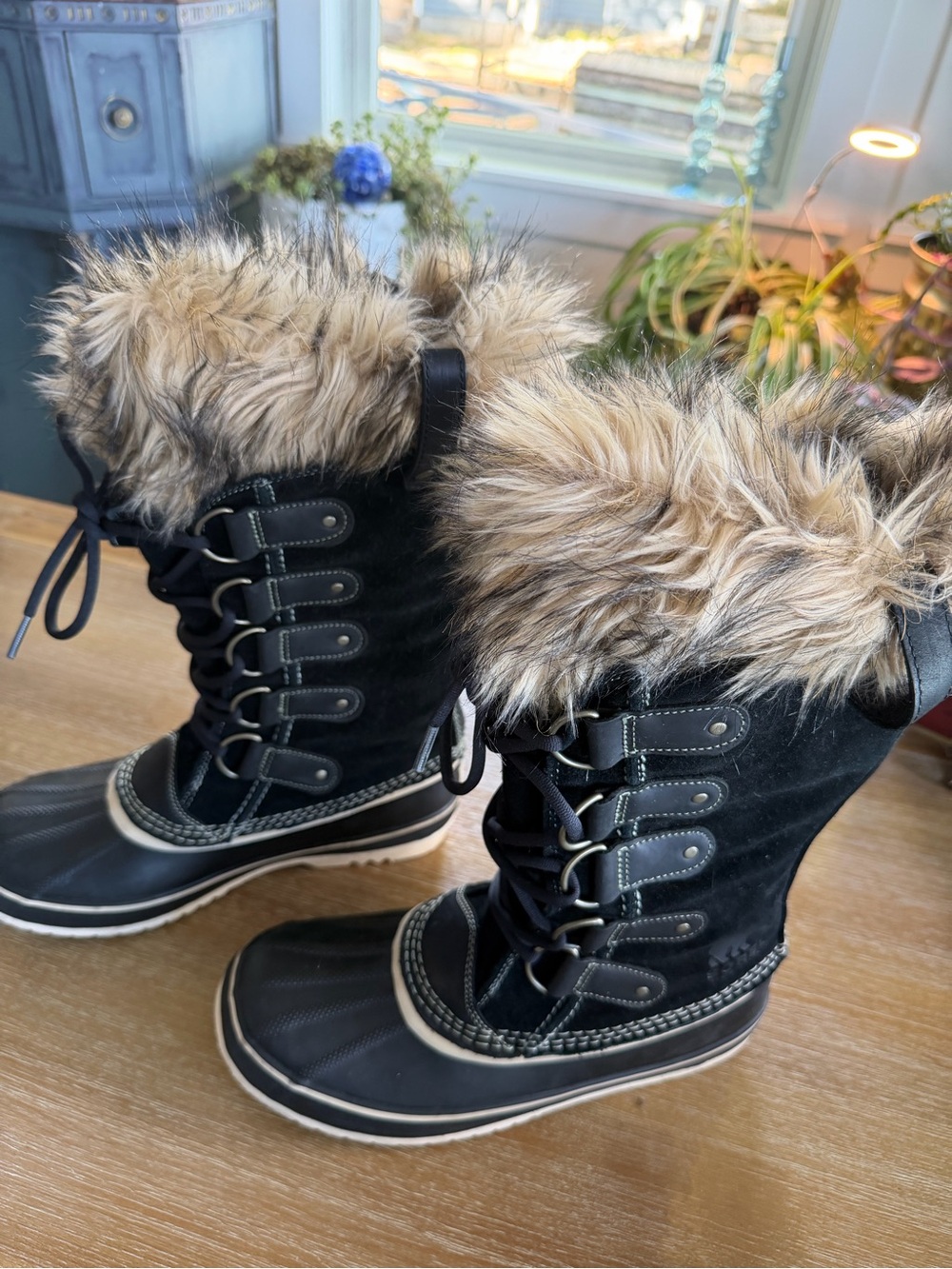 Sorrel Joan of Arc size 10